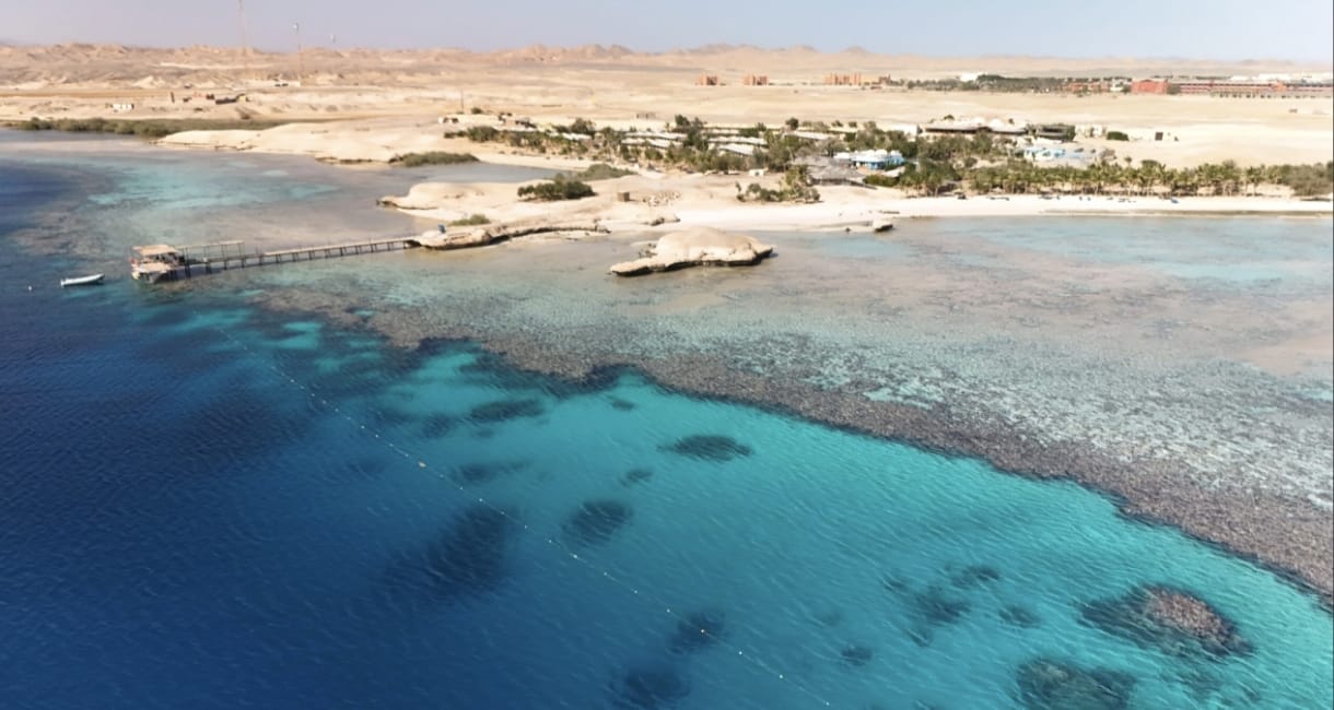 About Marsa Alam Freedivers