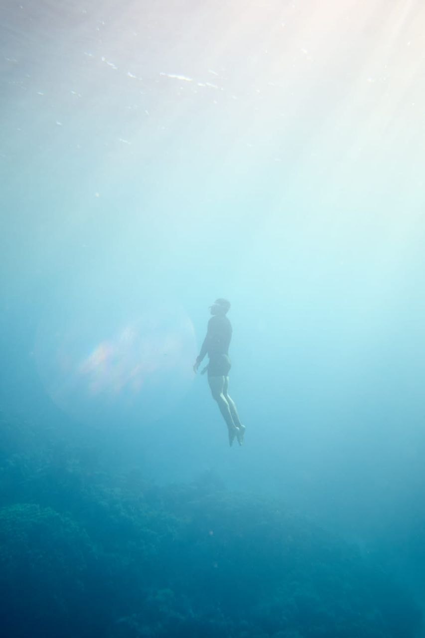Freediving Gallery